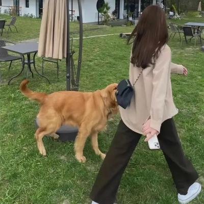 想谈一场韩剧般的恋爱